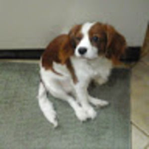 Meet your Posher, Linda